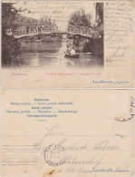 Straßburg Strasbourg Orangerie, Le Lac/Partie In Der Orangerie 1909 - Strasbourg