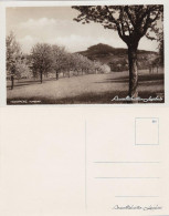 Postcard Syřenov Blick Auf Die Stadt 1940  - Tchéquie