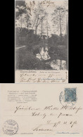 Postcard Teplitz-Schönau Teplice Partie Aus Dem Schlossgarten 1904 - Tchéquie