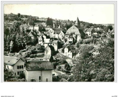 19.TREIGNAC.VUE DU VIEUX TREIGNAC.CPSM - Treignac