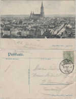 Ansichtskarte Ulm A. D. Donau Panorama Mit Münster 1905 - Ulm