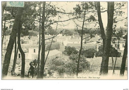 17.ILE D'OLERON.n°5670.VUE GENERALE DE DOMINO.BELLE FORET.MER SAUVAGE - Ile D'Oléron