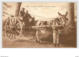 17.ILE DE RE.LE BOIS.L'ANE EN CULOTTE - Ile De Ré