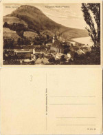 Ansichtskarte Königstein (Sächsische Schweiz) Stadt Und Festung 1920 - Koenigstein (Saechs. Schw.)