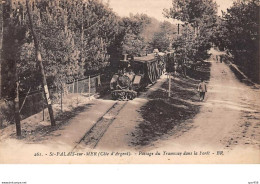 17  .  N° 201030  .   SAINT PALAIS SUR MER  .  PASSAGE DU TRAMWAY DANS LA FORET - Saint-Palais-sur-Mer