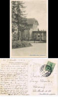 Ansichtskarte Carolagrün-Auerbach (Vogtland) Partie An Der Heilstätte 1922  - Auerbach (Vogtland)