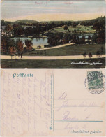 Ansichtskarte Plauen (Vogtland) Partie Im Stadtpark 1908  - Plauen