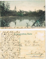 Postcard Rosenau Rožnov Pod Radhoštěm Blick Auf Die Stadt 1913  - Tchéquie