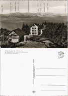 Badenweiler HOTEL HOCHBLAUEN, Panorama Schweizer Alpenkette 1950 - Badenweiler