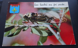 Provence - "Lou Souleü Me Fai Canta" ... - La Cigale De Provence Sur Une Branche D'olivier - Editions "SL", Villeurbanne - Provence-Alpes-Côte D'Azur