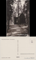 Ansichtskarte Bad Elster Partie An Der Kreuzkapelle 1965  - Bad Elster