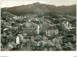 20 . N°43497 . Petreto Bicchisano .vue Generale. Cpsm  15 X 10.5 Cm. - Autres & Non Classés