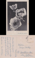 Ansichtskarte  Blumen 1944  - Paintings