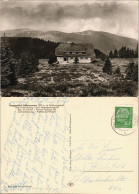Ansichtskarte Todtnau Berggasthof - Stübenwasen 1959 - Todtnau
