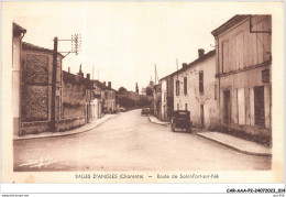 CAR-AAAP2-16-0088 - SALLES D'ANGLES - Route De Saint-fort-sur-né - Other & Unclassified