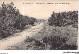 CAR-AAEP1-17-0045 - ILE D'OLERON - DOMINO - Route Allant A La Plage - Ile D'Oléron