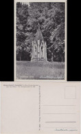 Ansichtskarte Schöppenstedt Waldwirtschaft Tetzelstein I/Elm 1950 - Autres & Non Classés