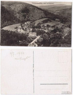 Ansichtskarte Treseburg Blick Auf... Panorama 1921  - Altri & Non Classificati