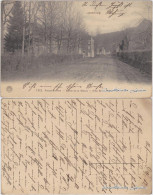 Postkaart Anseremme-Dinant Ansreme Dinant Straßenpoartie Mit Villa 1917  - Autres & Non Classés