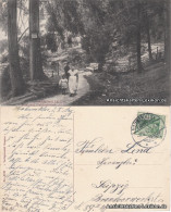 Ansichtskarte Hahnenklee-Bockswiese-Goslar Weg Nach Waldmannsheil 1912  - Goslar