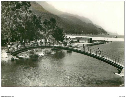 20.GOLFE DE PORTO.n°9.LA RIVIERE,LA FORET D'EUCALYPTUS ET LE PLAGE.CPSM - Autres & Non Classés