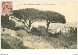 20.MONTEPIANO.n°18769.LES PINS DE MONTEPIANO.TACHE - Other & Unclassified