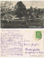 Postcard Berna (Oberlausitz) Bierna Blick Auf Den Ort Mit Wachberg 1926  - Schlesien