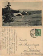 Ansichtskarte Titisee-Neustadt Feldberg Und Feldbergerhof Im Schwarzwald 1924 - Titisee-Neustadt