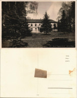 Postcard Bad Oppelsdorf Opolno Zdrój Albertbad 1930 - Schlesien