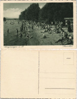 Ansichtskarte Langenargen Am Bodensee Strandbad - Anleger, Hütte 1928 - Langenargen