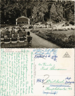 Ansichtskarte Bad Salzschlirf Kurpark Mit Musik-Pavillon 1960 - Andere & Zonder Classificatie