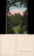 Ansichtskarte Eisenach Wartburg, Berghang Photochromiekarte 1909 - Eisenach