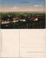 CPA Sulz (Oberelsass) Soultz-Haut-Rhin Totalansicht 1915 - Andere & Zonder Classificatie