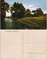 Lübbenau (Spreewald) Lubnjow Spreewaldbilder - Wiesenpartie 1913 - Luebbenau