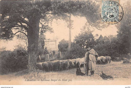 14 - FALAISE - SAN65691 - Le Vieux Berger Du Mont Joly - Agriculture - Falaise