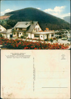 Willingen (Upland) Hotel Pension Restaurant DÜSSELDORFER HOF H. Beuteführ 1965 - Otros & Sin Clasificación
