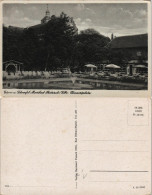 Ansichtskarte Pretzsch (Elbe)-Bad Schmiedeberg Schwimmbad, Konzertplatz 1956 - Altri & Non Classificati