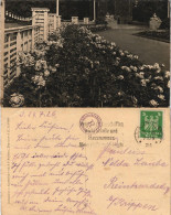 Dresden Jahresschau Deutscher Arbeit (Ausstellung) - Rosengarten 1926 - Dresden