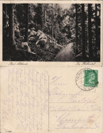 Postcard Bad Altheide Polanica-Zdrój Wald Partie Im Höllental 1927 - Schlesien