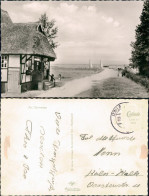 Ansichtskarte Hüde Partie Am Dümmersee 1955 - Lembruch