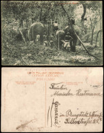 Ansichtskarte  Native Typen Auf Elefanten Sri Lanka (Ceylon) 1912 - Unclassified