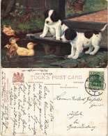 Ansichtskarte  Tiere - Hunde, Welpen Und Küken Künstlerkarte 1910 - Hunde