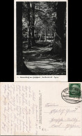 Ansichtskarte Berkenbrück Waldpartie Gel. Bahnpost 1938 - Other & Unclassified