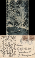 Loschwitz-Dresden Großer Wasserfall Im Winter Dresdner Heide 1914 - Dresden