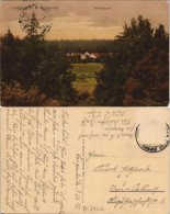 Ansichtskarte Langenleuba-Oberhain Waldhäuser 1912 - Autres & Non Classés