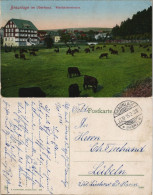 Ansichtskarte Braunlage Wiethfelderstraße 1915 - Braunlage