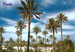 *CPM - TUNISIE - DJERBA - - Tunisie