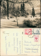 Postcard Weichsel OS Wisła | Hohenweichsel Park Im Winter 1972 - Schlesien