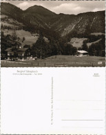 Schönau Am Königssee Berghof Schapbach Schönau-Berchtesgaden 1960 - Berchtesgaden