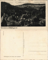 Postcard Wölfelsgrund Międzygórze Blick Auf Die Stadt 1928 - Schlesien